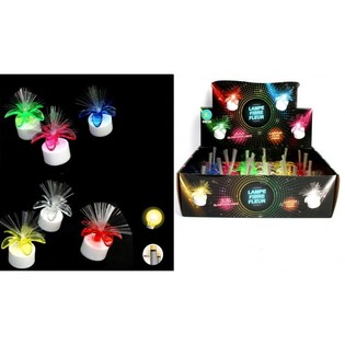 发光 LED 花卉展示盒装 (24件)